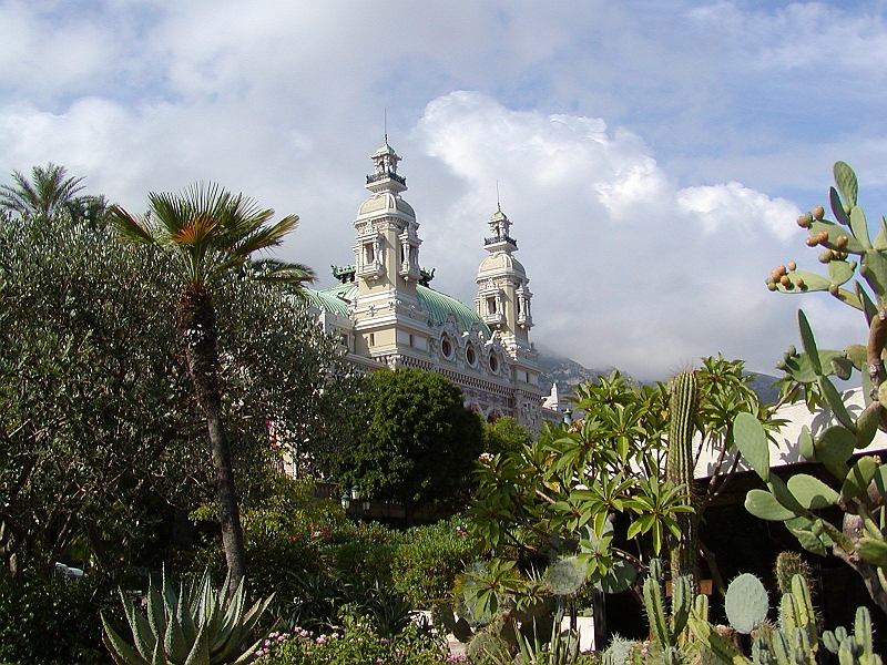 p8260255.jpg