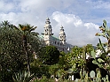 p8260255