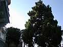 p8300262
