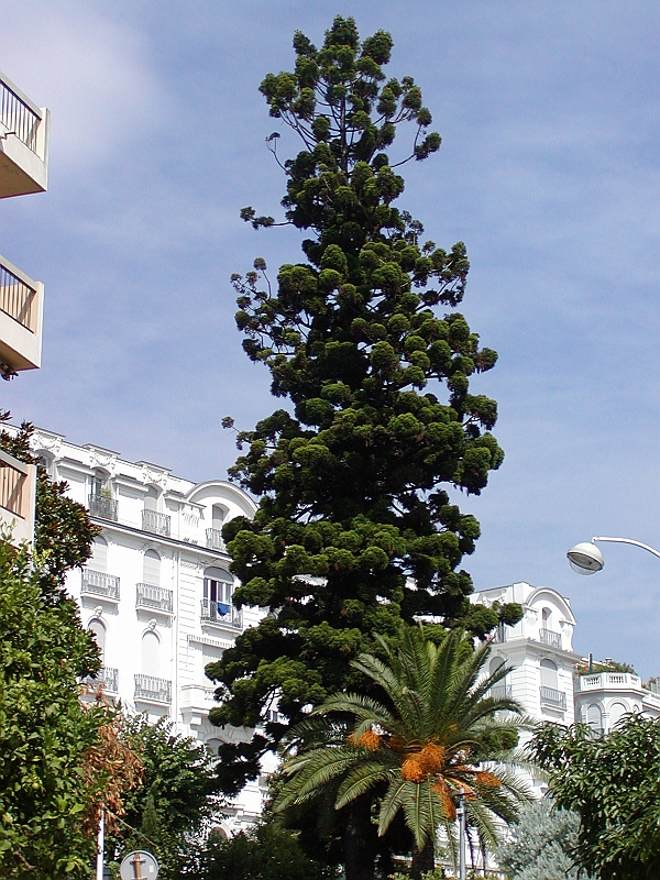 p8290192.jpg