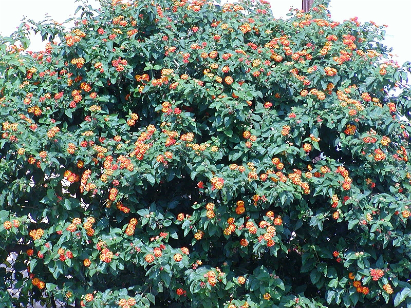 p8250055.jpg