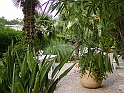 p8270043