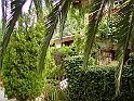 p8270047