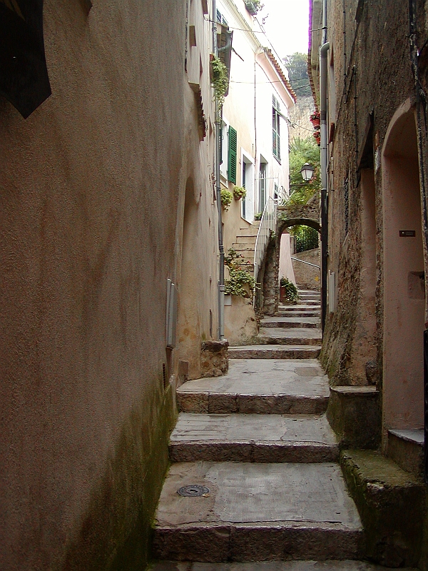 p8250099.jpg
