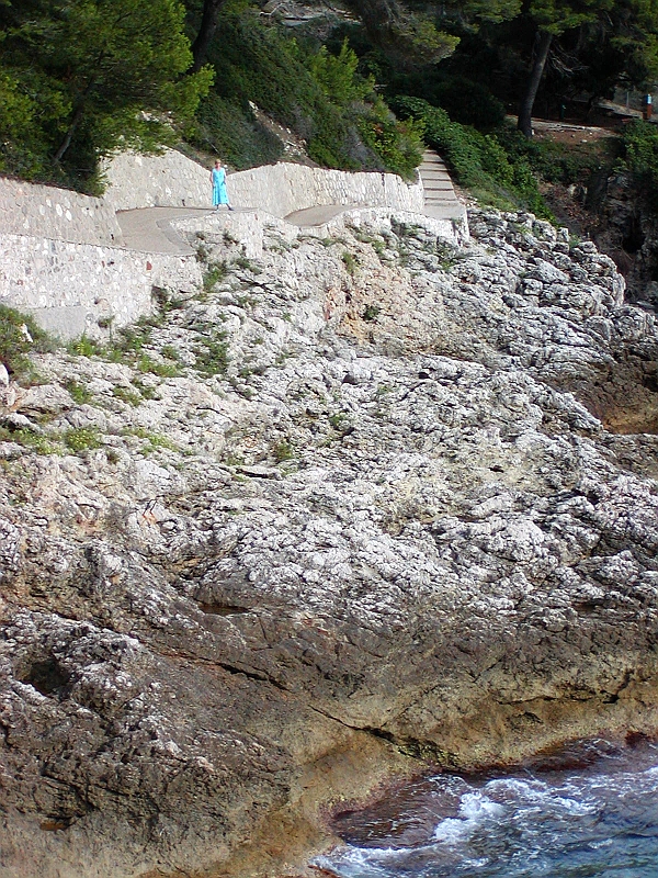 p8270069.jpg