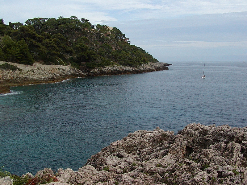 p8270085.jpg