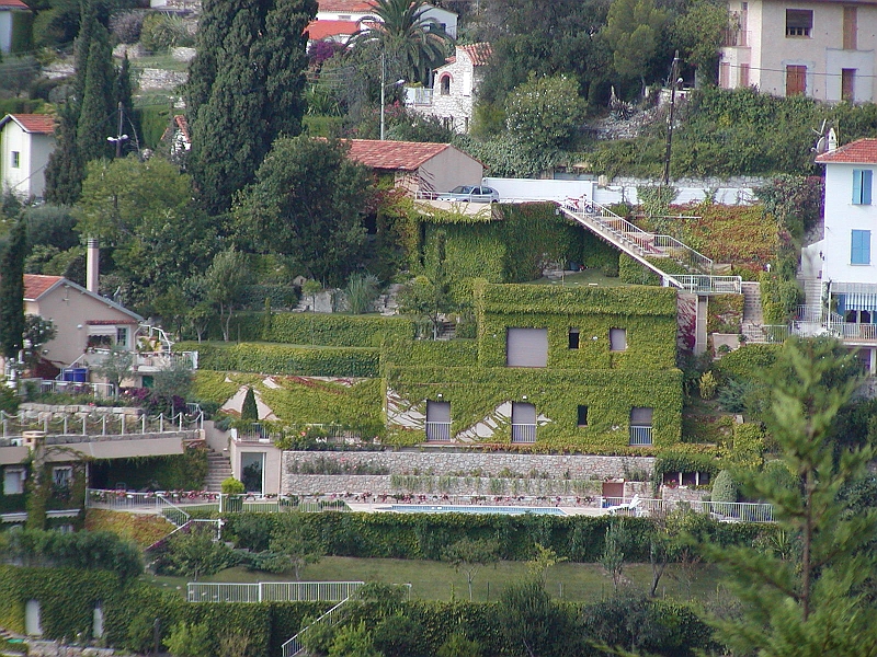 p8250076.jpg