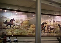 CIMG6881