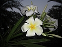 CIMG6725