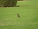 CIMG6844