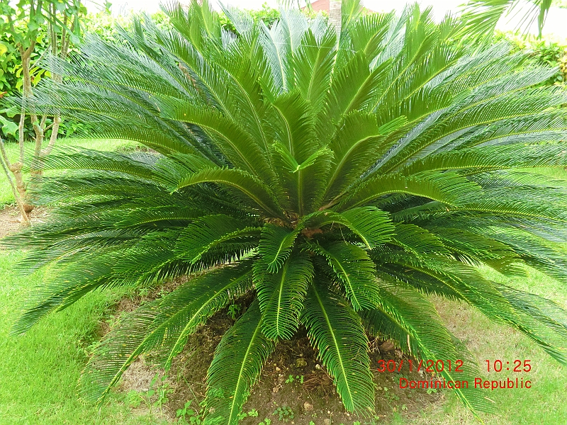 CIMG0391.JPG