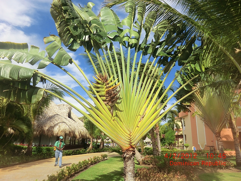 CIMG0618.JPG