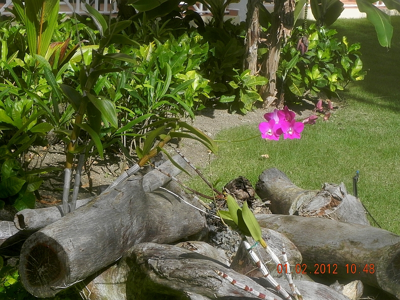 DSCN0426.JPG