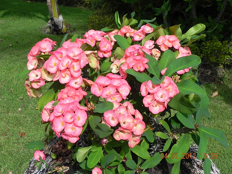 DSCN0865.JPG