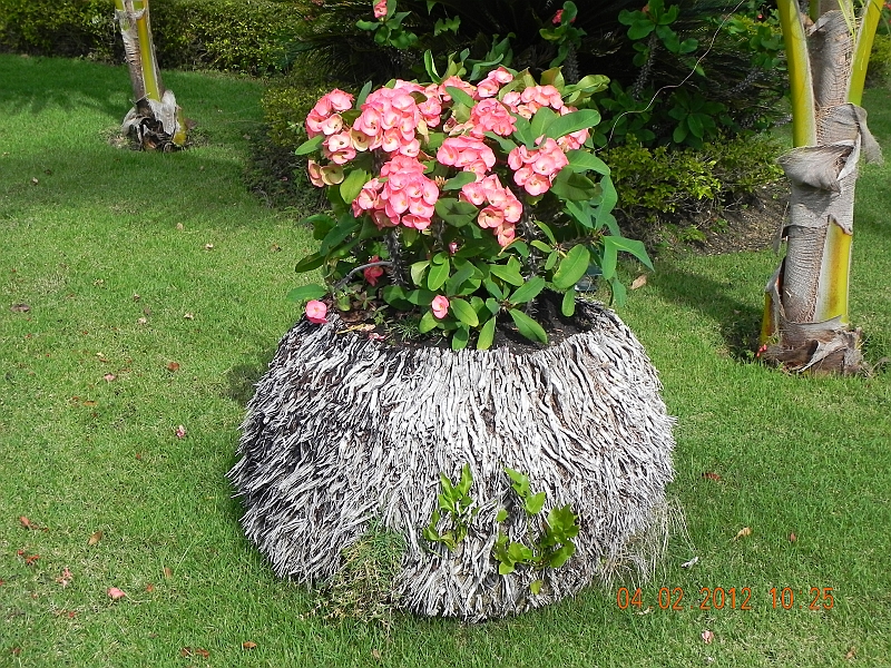 DSCN0866.JPG