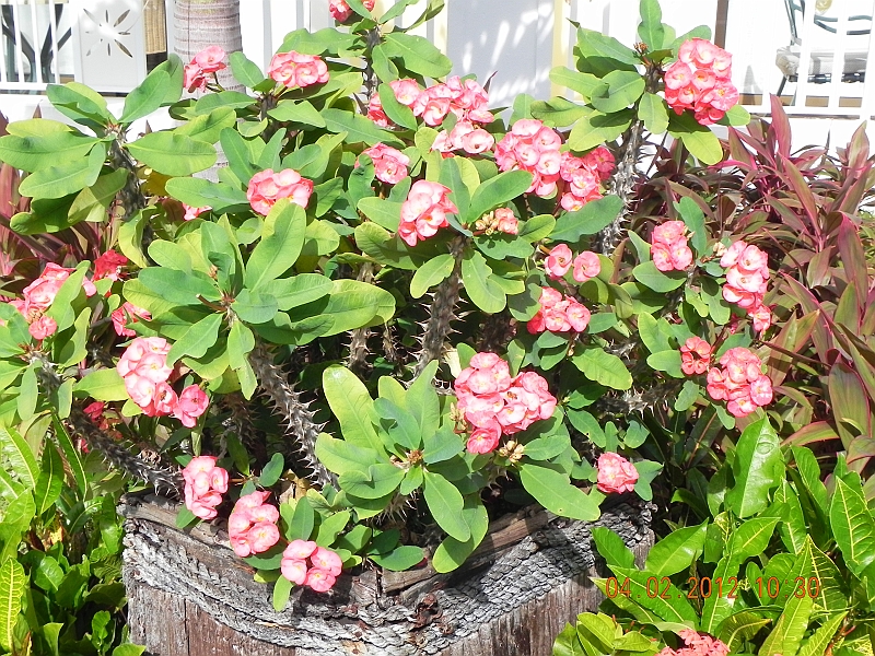 DSCN0869.JPG