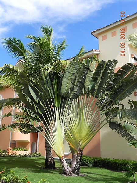 DSCN0885.JPG