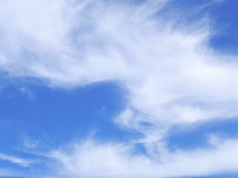 DSCN0898.JPG