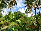 CIMG0424