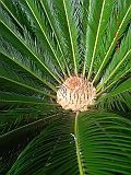 DSCN0279