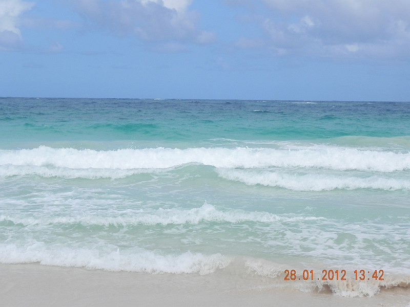 DSCN0291.JPG