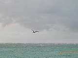 DSCN0258
