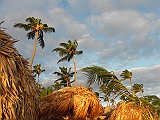 DSCN0270
