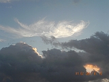 DSCN0401