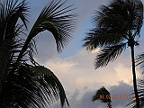 DSCN0847