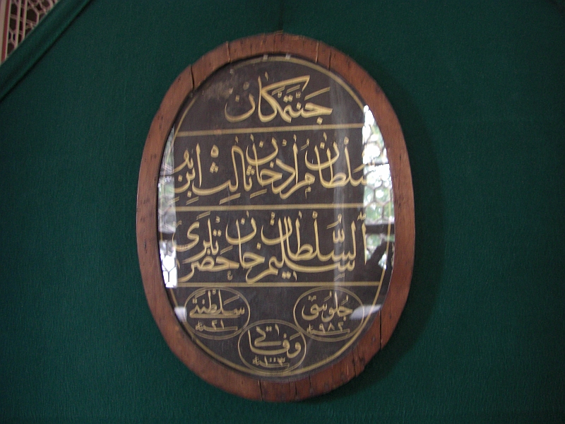 CIMG8992.JPG