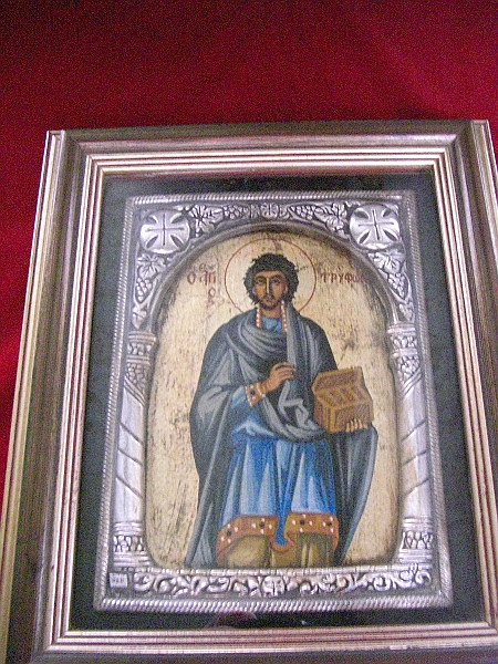 CIMG9464.JPG