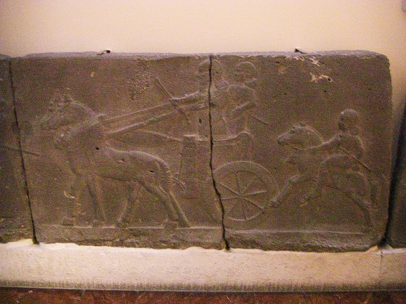 092CIMG9633.JPG