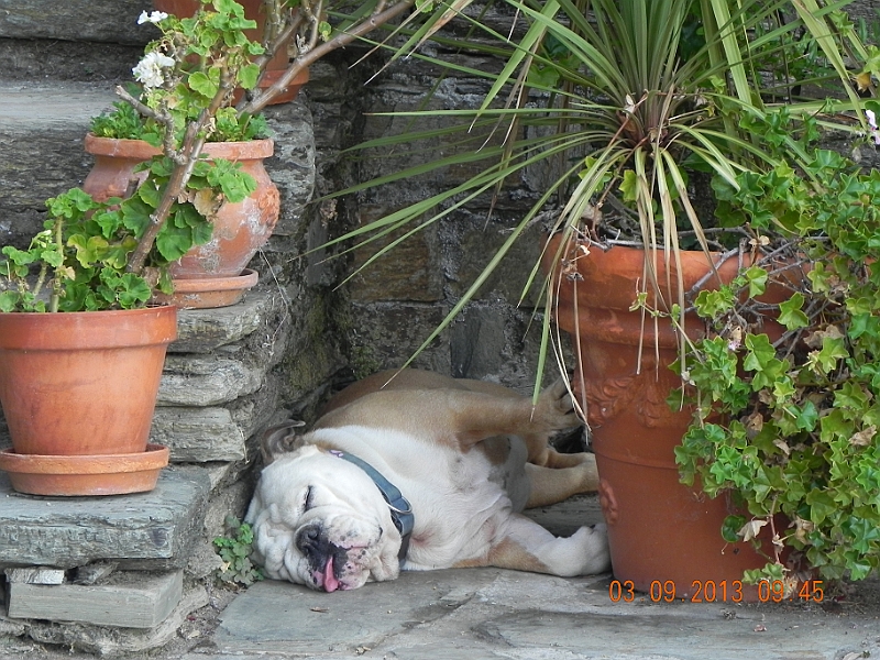 DSCN6216.JPG