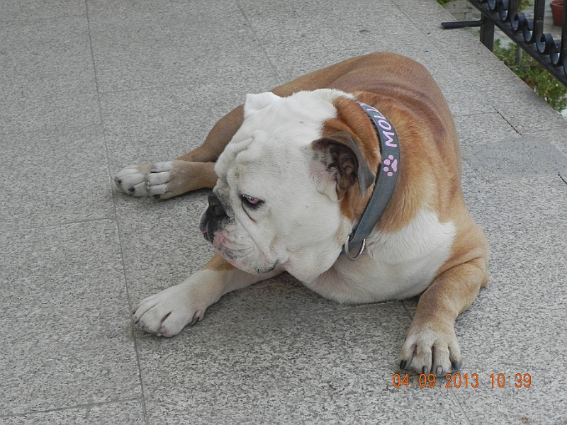 DSCN6352.JPG