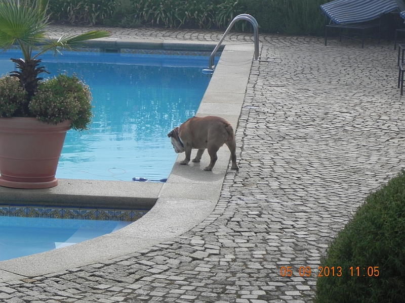 DSCN6526.JPG