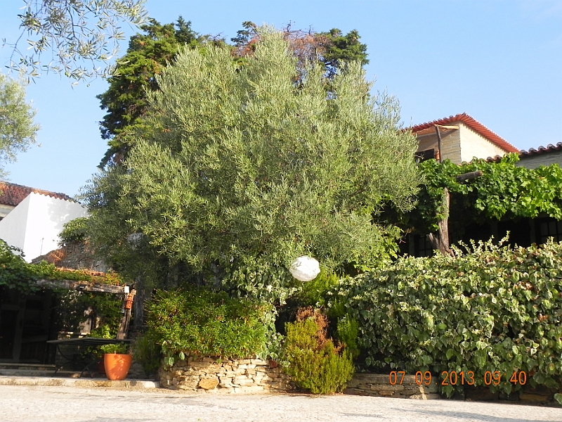 DSCN6788.JPG