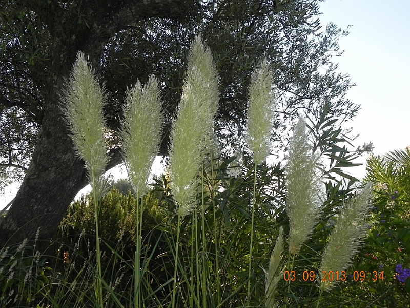 DSCN6208.JPG
