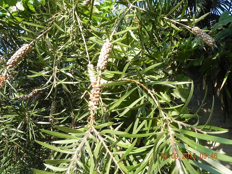 DSCN6219.JPG