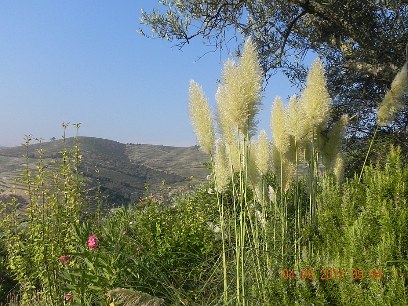 DSCN6339.JPG