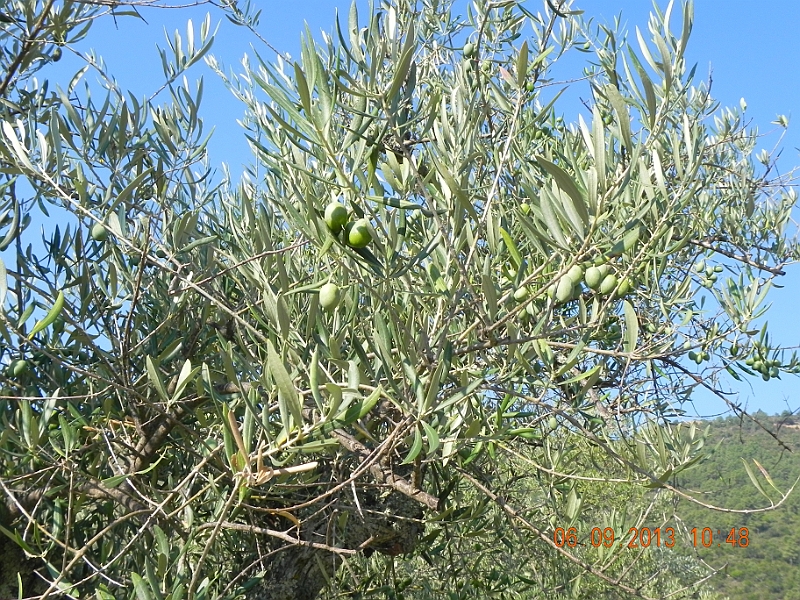 DSCN6692.JPG