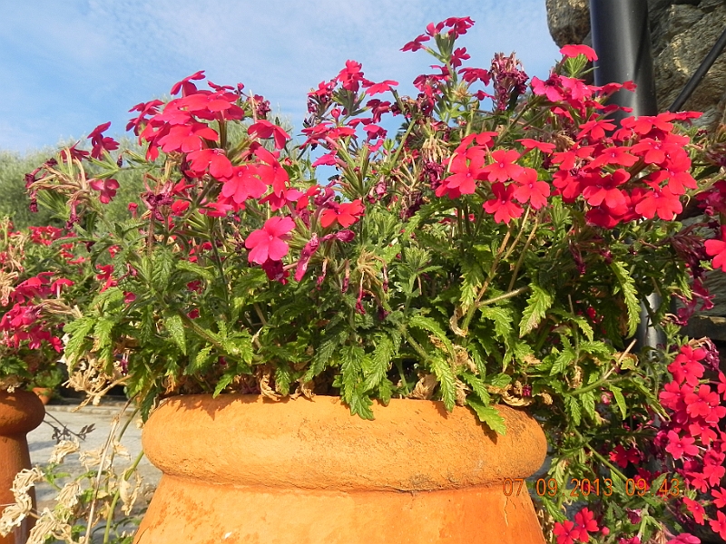 DSCN6795.JPG