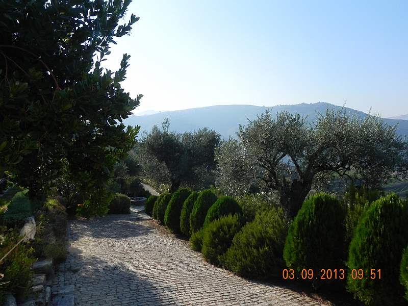 DSCN6225.JPG