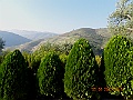 DSCN6226