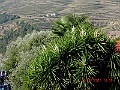 DSCN6351
