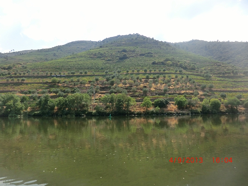 CIMG7407.JPG