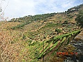 CIMG7483