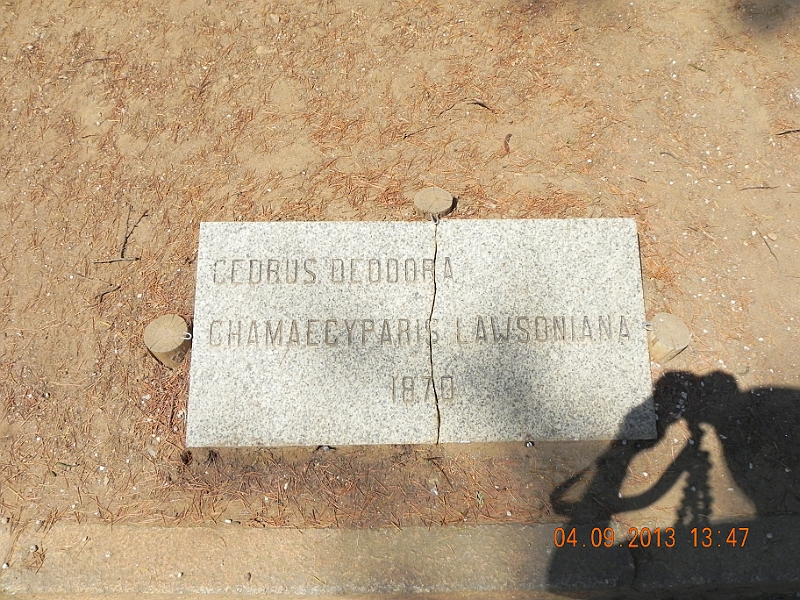 DSCN6426.JPG