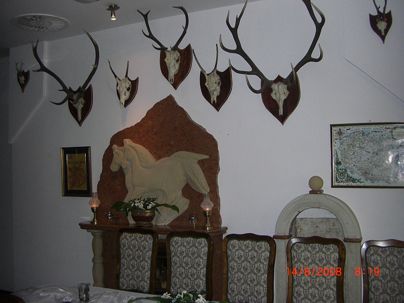 CIMG1723.JPG - recepcja