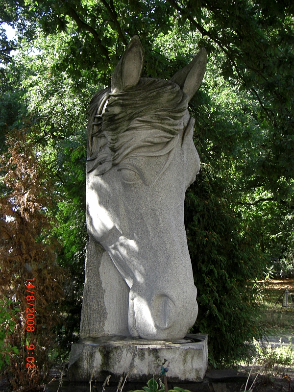 CIMG1790.JPG - rzezba konia