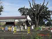 CIMG1740